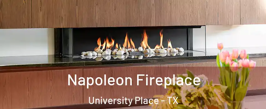 Napoleon Fireplace University Place - TX