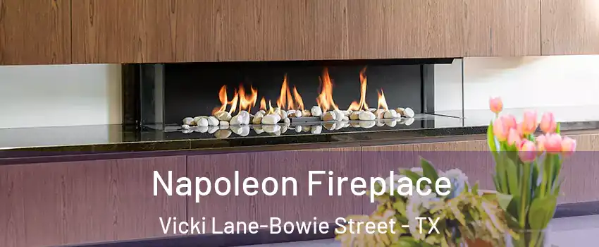 Napoleon Fireplace Vicki Lane-Bowie Street - TX