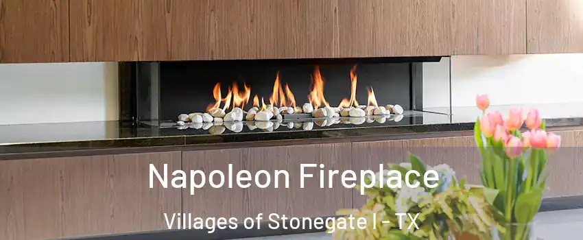 Napoleon Fireplace Villages of Stonegate I - TX