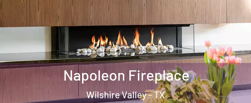 Napoleon Fireplace Wilshire Valley - TX