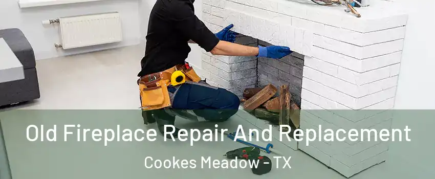 Old Fireplace Repair And Replacement Cookes Meadow - TX