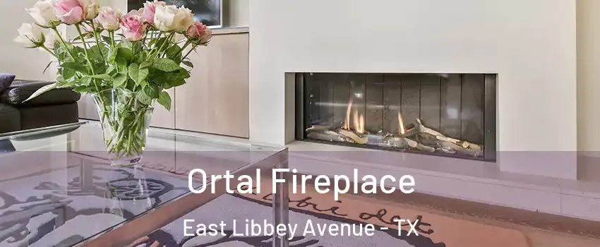 Ortal Fireplace East Libbey Avenue - TX