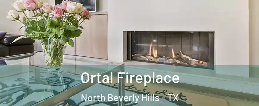 Ortal Fireplace North Beverly Hills - TX