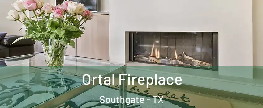 Ortal Fireplace Southgate - TX