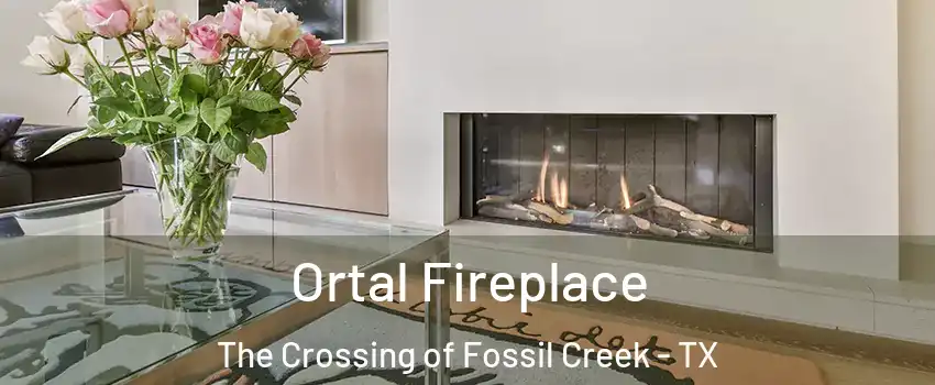 Ortal Fireplace The Crossing of Fossil Creek - TX