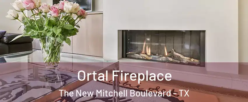 Ortal Fireplace The New Mitchell Boulevard - TX