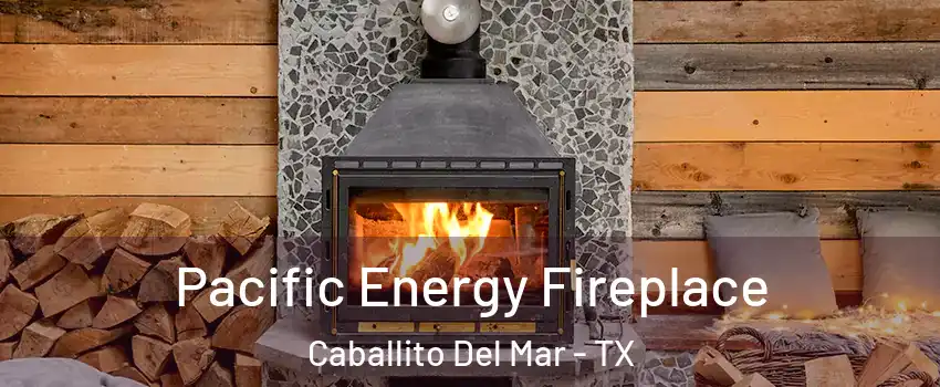 Pacific Energy Fireplace Caballito Del Mar - TX