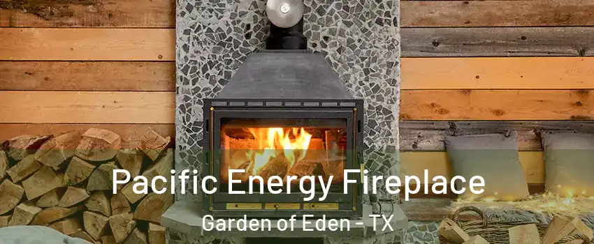 Pacific Energy Fireplace Garden of Eden - TX